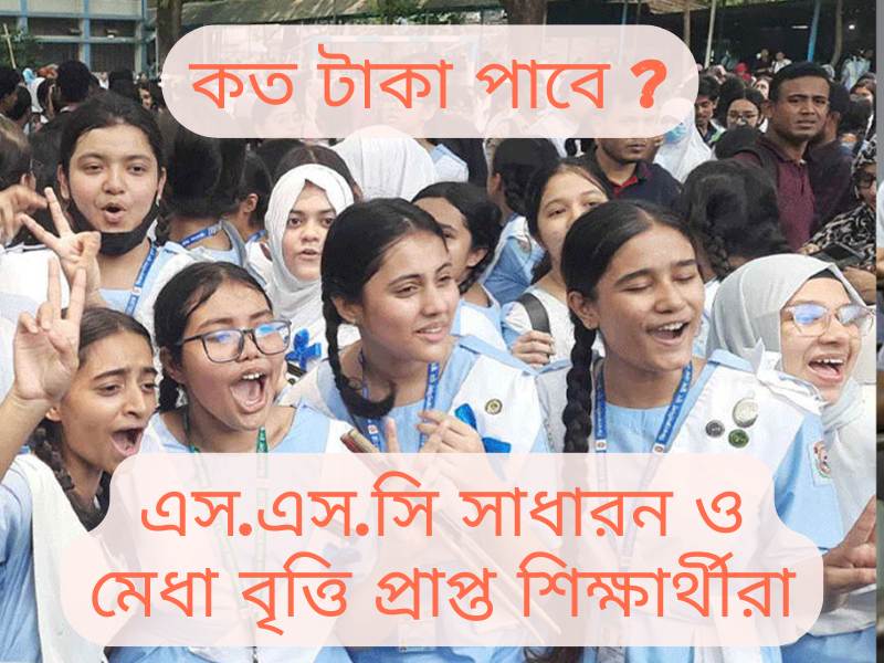 SSC Scholarship Result 2025